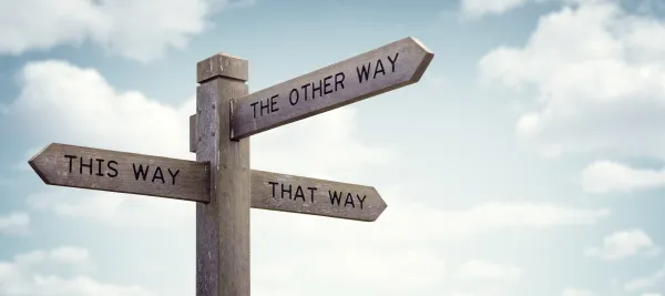 Beyond the Dichotomy of Open-Source and Corporate Worlds